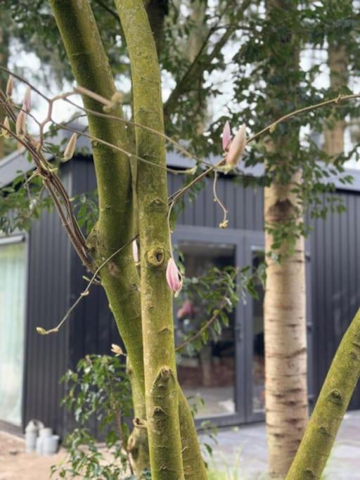 Veluwe Boutique Lodge Putten Exteriér fotografie